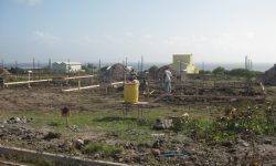Cherry-Garden-Phase-II-3